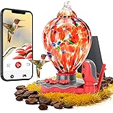 Smart Glass Hummingbird Feeder with Camera Solar Powered 2K- AI Identify & Water Detection, Instant Notification, Leakproof & Ant Moat TT Nature