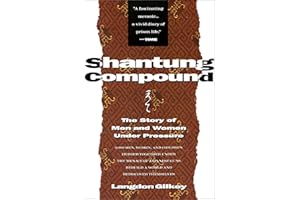 Shantung Compound: The Story of Men and Women Under Pressure