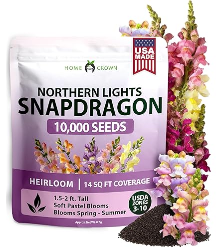Amazon.com : Eden Brothers Toadflax/Spurred Snapdragon Seeds : Flowering  Plants : Patio, Lawn & Garden