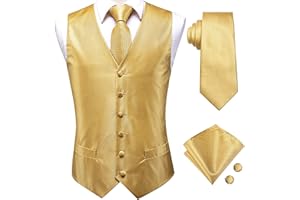 Hi-Tie Silk Mens Suit Vest and Tie Set Paisley Floral Jacquard Formal Dress Waistcoat For Tuxedo Wedding Party Business