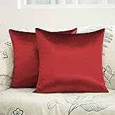 Counfeisly 2 Pack Red Velvet Pillow Covers, 18x18 Inches Decorative Cushion Covers for Couch Sofa Bed, Super Soft and Cozy Luxury, Zippered Design