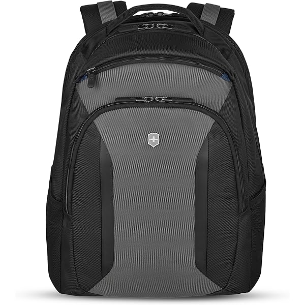 Amazon.com: Victorinox Expedition 17