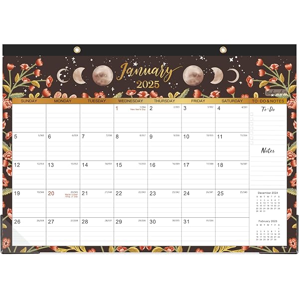 skeleton-goth-2024-2025-monthly-planner-two-year-monthly-calendar-schedule-organizer-january-2024-through-december-2025-raven-dorian-amazon-com-office-products