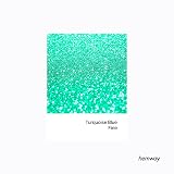 Hemway Turquoise Blue Glitter Shaker 130g Fine Craft Resin Epoxy view 2