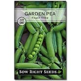 Sow Right Seeds - Sugar Snap Pea Seed for Planting Outdoors Vegetable | Plant non-GMO heirloom variety for outside home gardening. Sweet cool season crops for growing in spring or fall garden.
