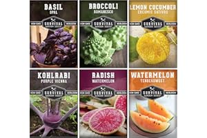 Rare Exotic Vegetable & Fruit Seeds for Planting – 6 Variety Heirloom Pack with Romanesco, Lemon Cucumber, Watermelon Radish & More by Survival Garden Seeds