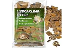 MAQIHAN 2.8 OZ Dry Oak Leaf Litter - Leaf Litter for Reptiles Oak Leaves for Isopods Live Substrate for Snakes, Frogs, Isopod