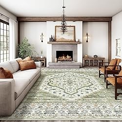 Area Rugs for Living Rooms - 5x7, Boho Non-Slip Low