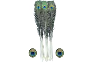 BZTVXMZ Bulk Natural Peacock Feathers-15Pcs 30-35in (76-90 cm),Long Peacock Feathers for Vase Decorations Party Decor and DIY Crafts