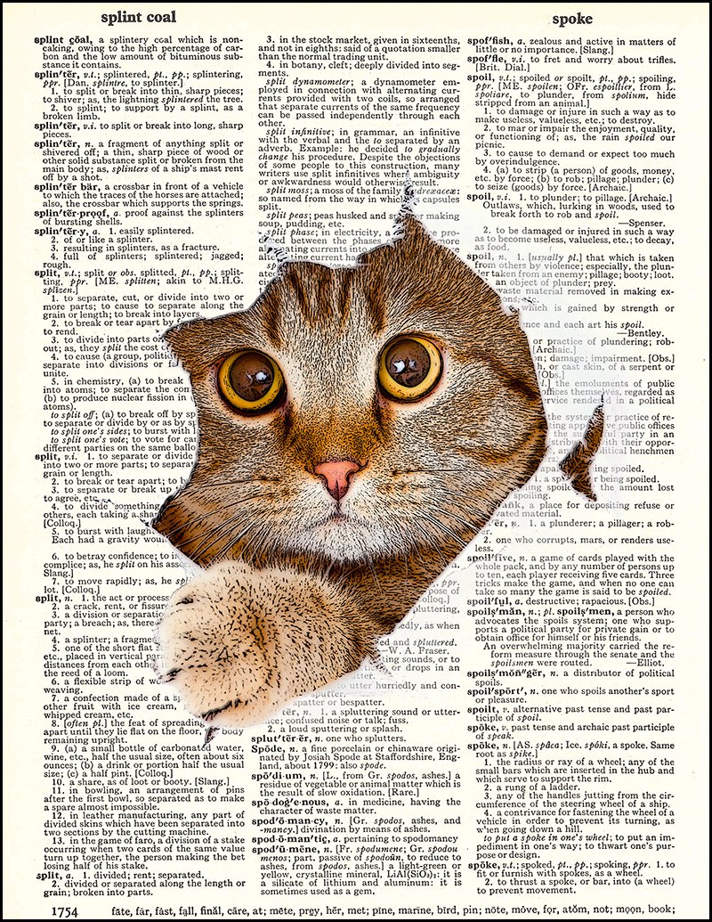 Dictionary Art Print Kitty Cat Tearing Through the Page Mixed Media