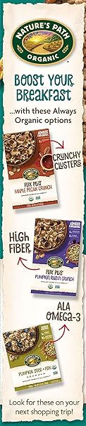 NATURE’S PATH ORGANIC SMART BRAN CEREAL, 10.6 OZ (PACK OF 1), 17G FIBER, PSYLLIUM, OAT & WHEAT BRAN, LIGHTLY SWEETENED, NON-GMO