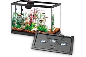 Aqueon Aquarium Starter Kit with Smart Clean Filtration and LED Lighting, Freshwater and Saltwater Fish, Perfect for Tetras, Guppies, Platies, 10-Gallon