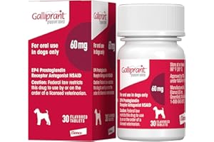 Galliprant Osteoarthritis Pain & Inflammation Control for Dogs | 60 mg | 15 Flavored Tablets