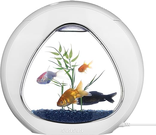 Fische Im Glas Ohne Pumpe Halten √ Fisch Im Glas Halten Ohne Pumpe | Fischlexikon