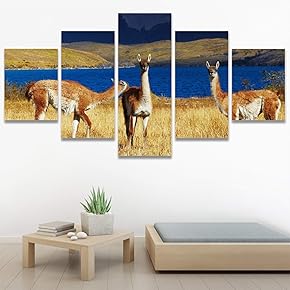 SIGNWIN 5 Panel Canvas Wall Art Modern Art...