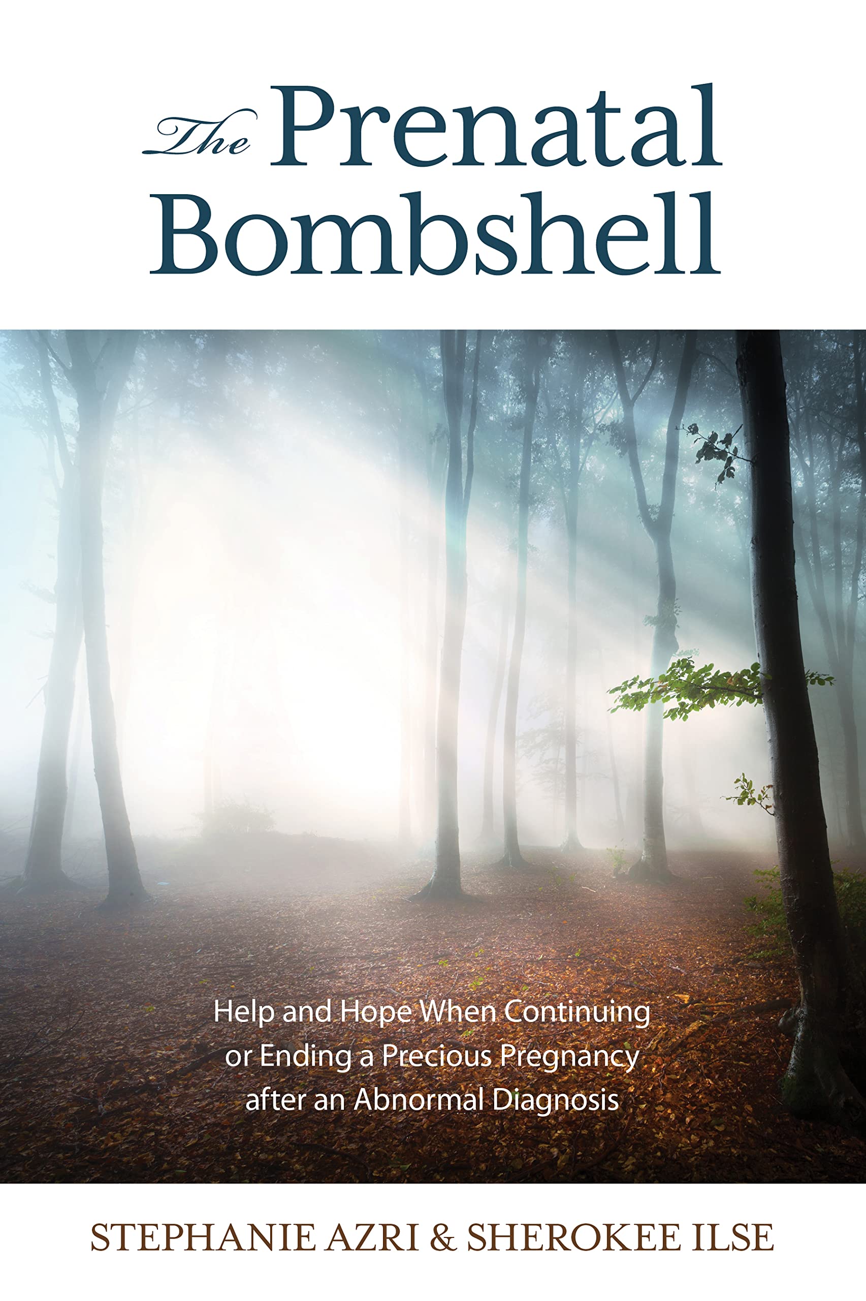 The Prenatal Bombshell: Help and Hope When
