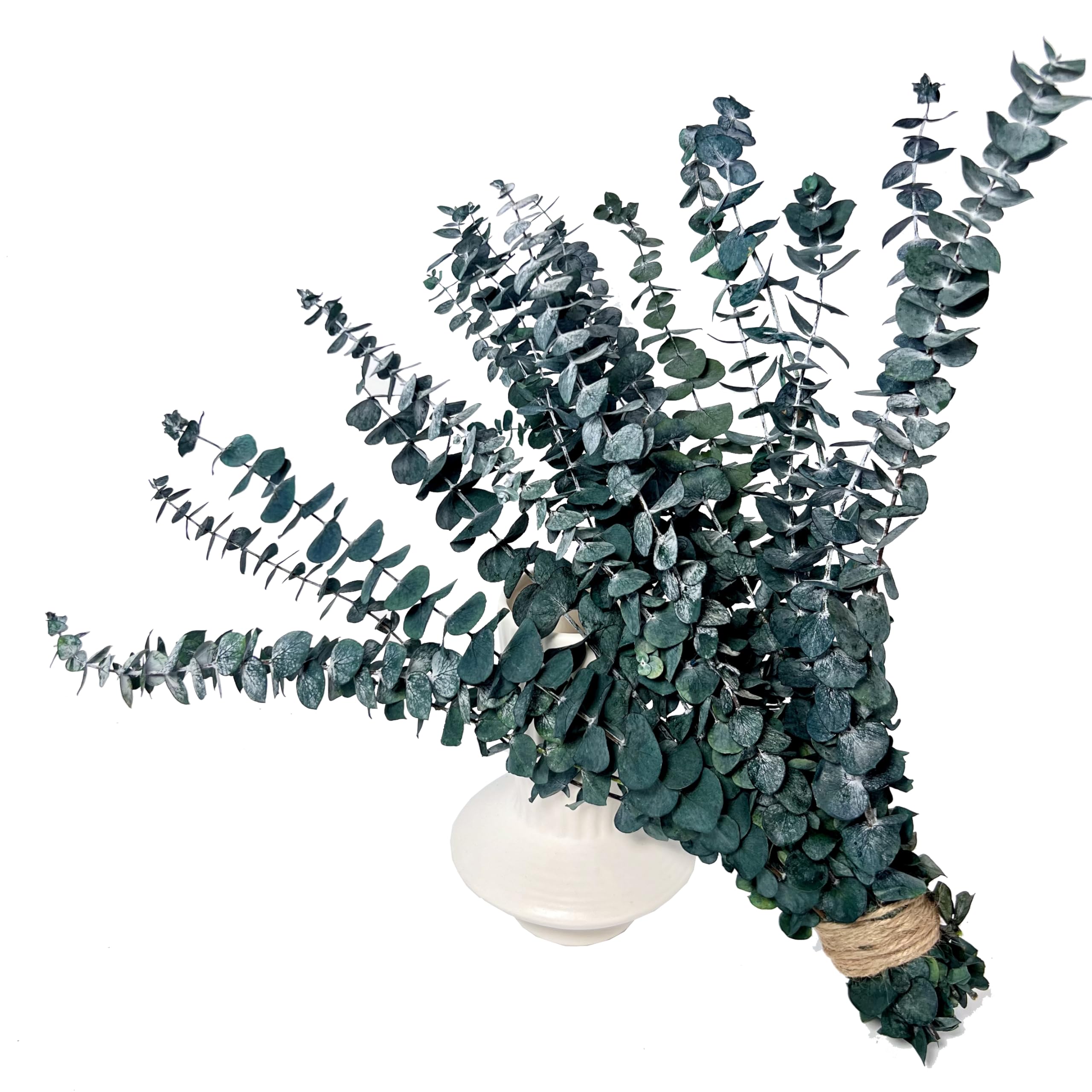 Photo 1 of (20Pcs) Dried Eucalyptus Stems - Red, Real Long Eucalyptus, Dried Flowers for Vase, 17" Floral Arrangement, Wedding (Blue)