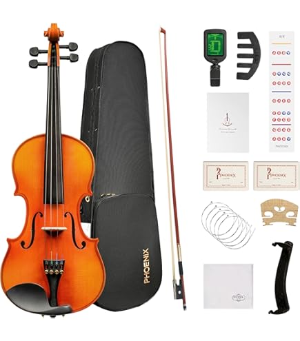 Amazon.com: Aileen 4/4 Violin Set, Full Size Solidwood Fiddle for