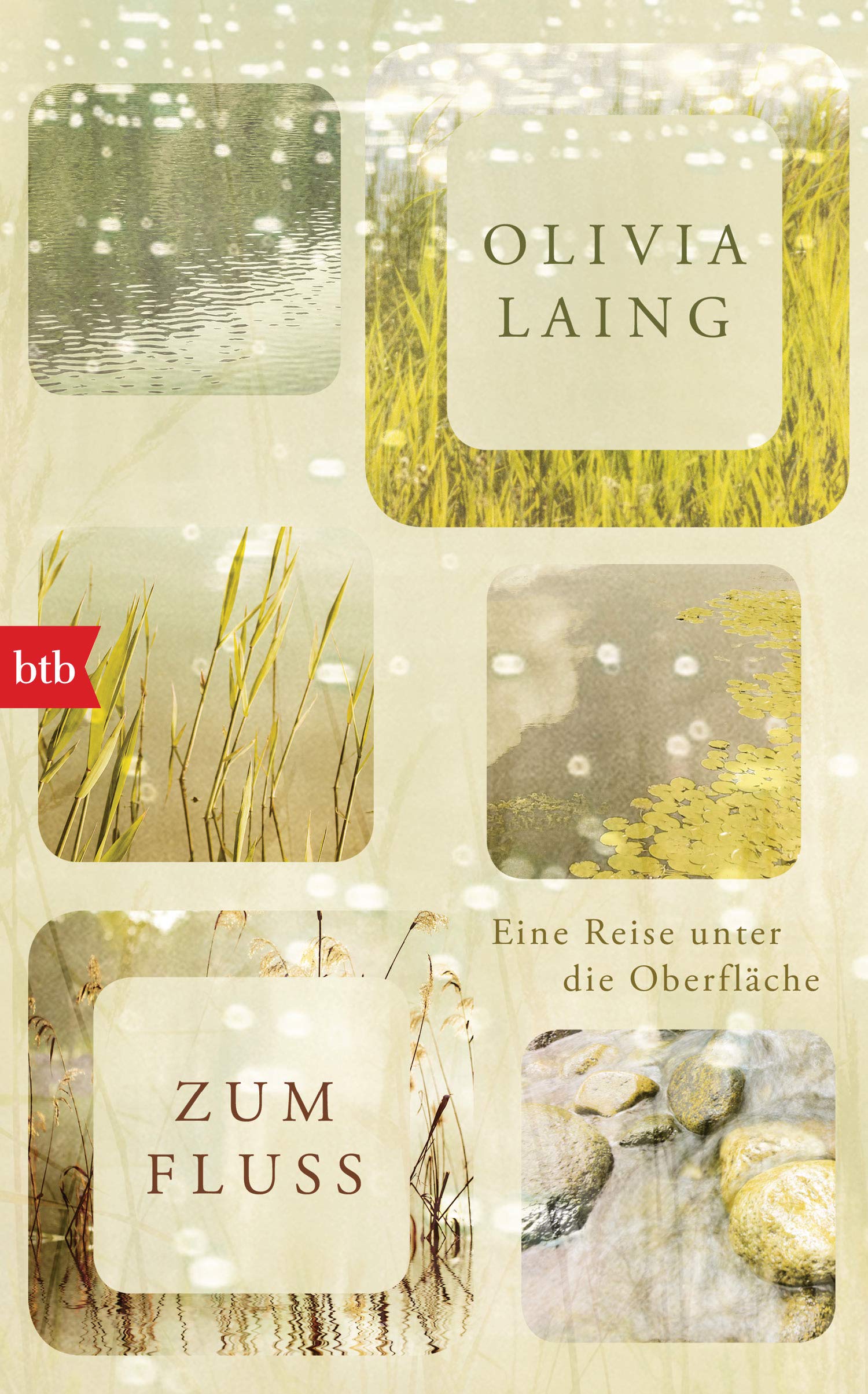 Zum Fluss Eine Reise Unter Die Oberflache Laing Olivia Mohr Thomas Amazon De Bucher
