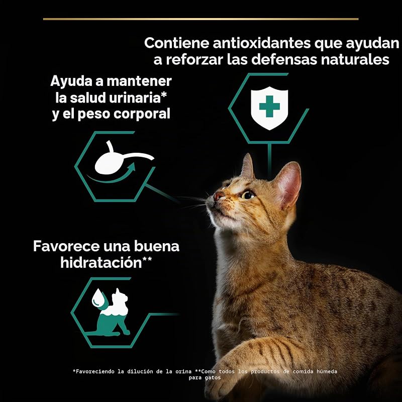 Comida húmeda de Gato Cat Wet NutriSavour Delicado 850 g (Paquete de 4, Total 40 Bolsas)