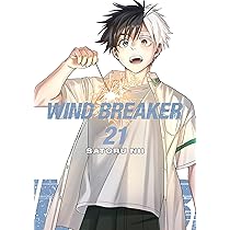 WIND BREAKER 21 : Nii, Satoru: Amazon.ca: Books