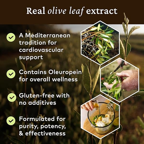 COMVITA OLIVE LEAF EXTRACT LIQUID – IMMUNE SUPPORT SUPPLEMENT WITH OLEUROPEIN, LIQUID EXTRACT DROPS, NATURAL SOURCE OF ANTIOXIDANTS – 16.9 FL OZ