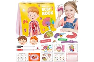 MDINGTD Preschool Montessori Human Body Busy Book for Kids Ages 4-8 - Birthday Gifts for Boys Girls - Kindergarten Learning Activities Educational Toys - Travel Toys for 5-7 Year Olds