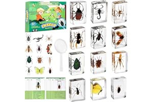 Artojoy Insect in Resin Specimen, 12 PCS Scientific Educational Bugs Collection, Real Specimens of Various Butterflies and Beetles Preserved, Stickers, Science Classroom Preschool Display(Total 61pcs)