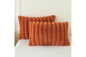 MEGO Set of 2 Fluffy Faux Rabbit Fur Pillowcases, Cozy Luxury Striped Plush Fuzzy Zippered Pillow Cases, Decorative Shaggy Fu