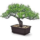 Der Rose Artificial Bonsai Tree 8 Inch Zen Fake Plant Modern Shelf Office Desk Decor Japanese Style Indoor