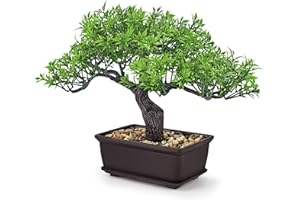 Der Rose 8'' Artificial Bonsai Tree Small Fake Potted Plants for Mens Zen Japanese Home Office Desk Bathroom Shelf Decor Indoor