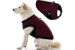 Gooby Fashion Vest Dog Jacket - Purple, Medium - Warm Zip Up Dog Bomber Vest with Dual D Ring Leash - Winter Water Resistant Small Dog Sweater - Dog Clothes for Small Dogs Boy or Medium Dogs