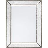 Empire Art Direct Champagne Bead Beveled Rectangle Solid Wood Framed Wall Mirror, Ready to Hang, Living Room, Bedroom ＆ Offic