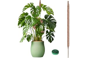 KOVSPO Moss Pole, Bendable Moss Pole for Plants Monstera, Moss Poles for Climbing Plants Indoor, Handmade Coco Coir Plant Pole Sticks Support Stakes for Potted Plants (25 Inch)