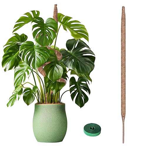 Moss Pole, Bendable Moss Pole for Plants Monstera, Moss Poles for Climbing  Plants Indoor, Handmade Coco Coir Plant Pole Sticks Support Stakes for  Potted Plants (25 Inch) in Kenya | Whizz Plant