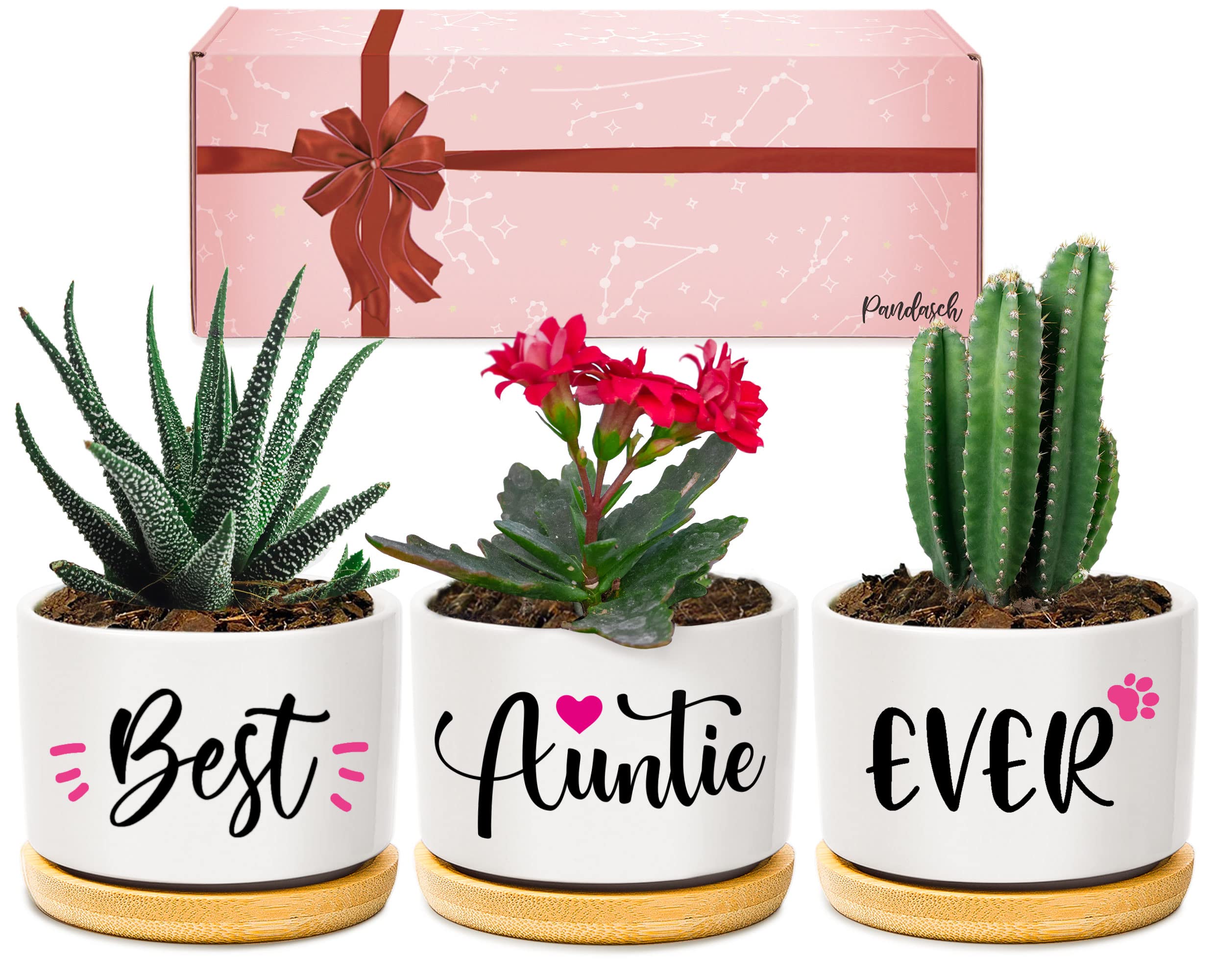 Pandasch Auntie Mothers Day Birthday Gifts, Best Auntie Ever Succulent Plant Pot, Gifts for Auntie from Niece Nephew for Birthday, Mothers Day, Christmas, Arrives Beautifully Gift Boxed