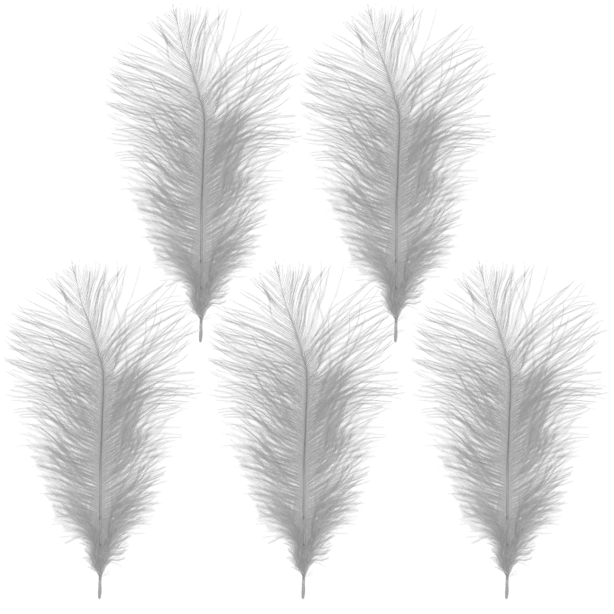 WedDecor Silver Natural Ostrich Feathers 14-16" (35-40cm) Long for Wedding Centerpieces, Home, Decorating Costumes, Embellishment, Art & Craft, Parties (Pack of 5)