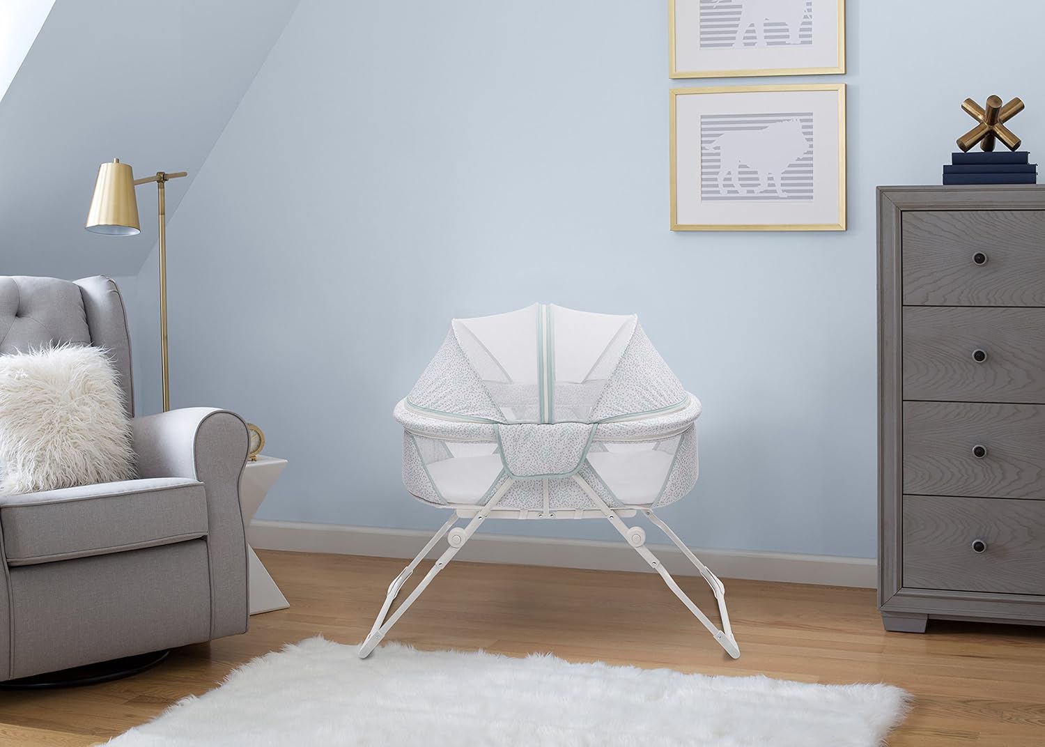 travel bassinet with canopy