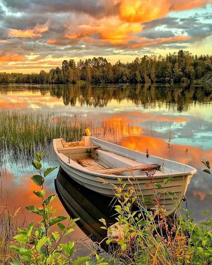 MILEADER Ohne Rahmen Malen nach Zahlen für Erwachsene