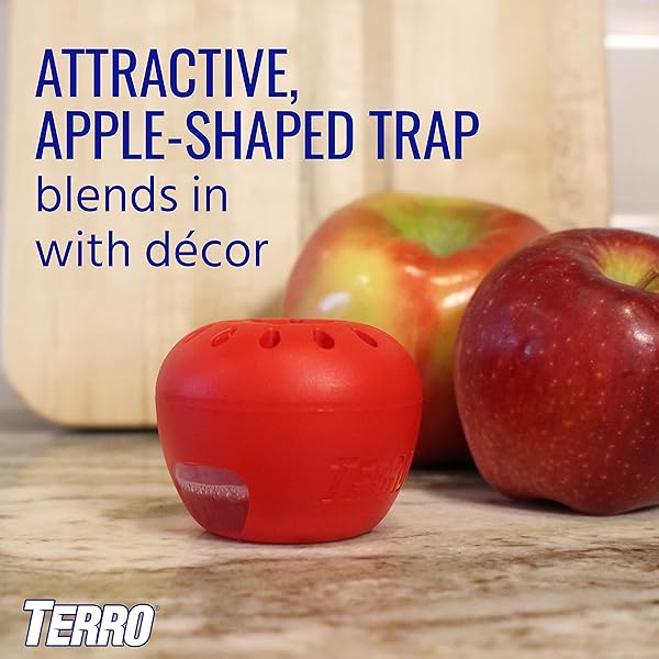 TERRO T2502 READY-TO-USE INDOOR FRUIT FLY TRAP WITH BUILT IN WINDOW – 2 TRAPS + 90 DAY LURE SUPPLY