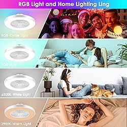 KAMLAM 24" Low Profile Ceiling Fans with