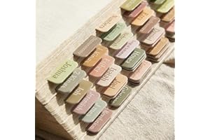 Bible Tabs, 75 Preprinted Laminated Bible Index Tabs, Bible Labels Tabs for Bible Study & Journaling, Bible Organizer Accesso