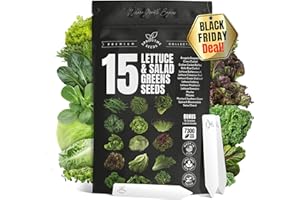 SPROUTME SEEDS 15 Lettuce & Salad Greens Seeds Variety Pack Lettuce Garden Salad Kit with Plant Labels 7300+ Non-GMO Heirloom Arugula Spinach Kale Iceberg Lettuce Seeds for Planting Outdoors Indoors