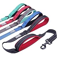 Vivaglory Padded Handle Dog Leash, Heavy Duty 4ft Long Double Handle Leash Reflective Safety Training Leash Walking Lead…