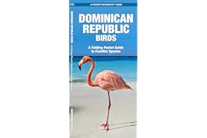Dominican Republic Birds: A Folding Pocket Guide to Familiar Species