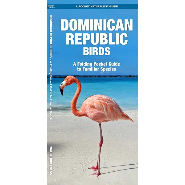 Brazil Birds: A Folding Pocket Guide to Familiar Species (Nature