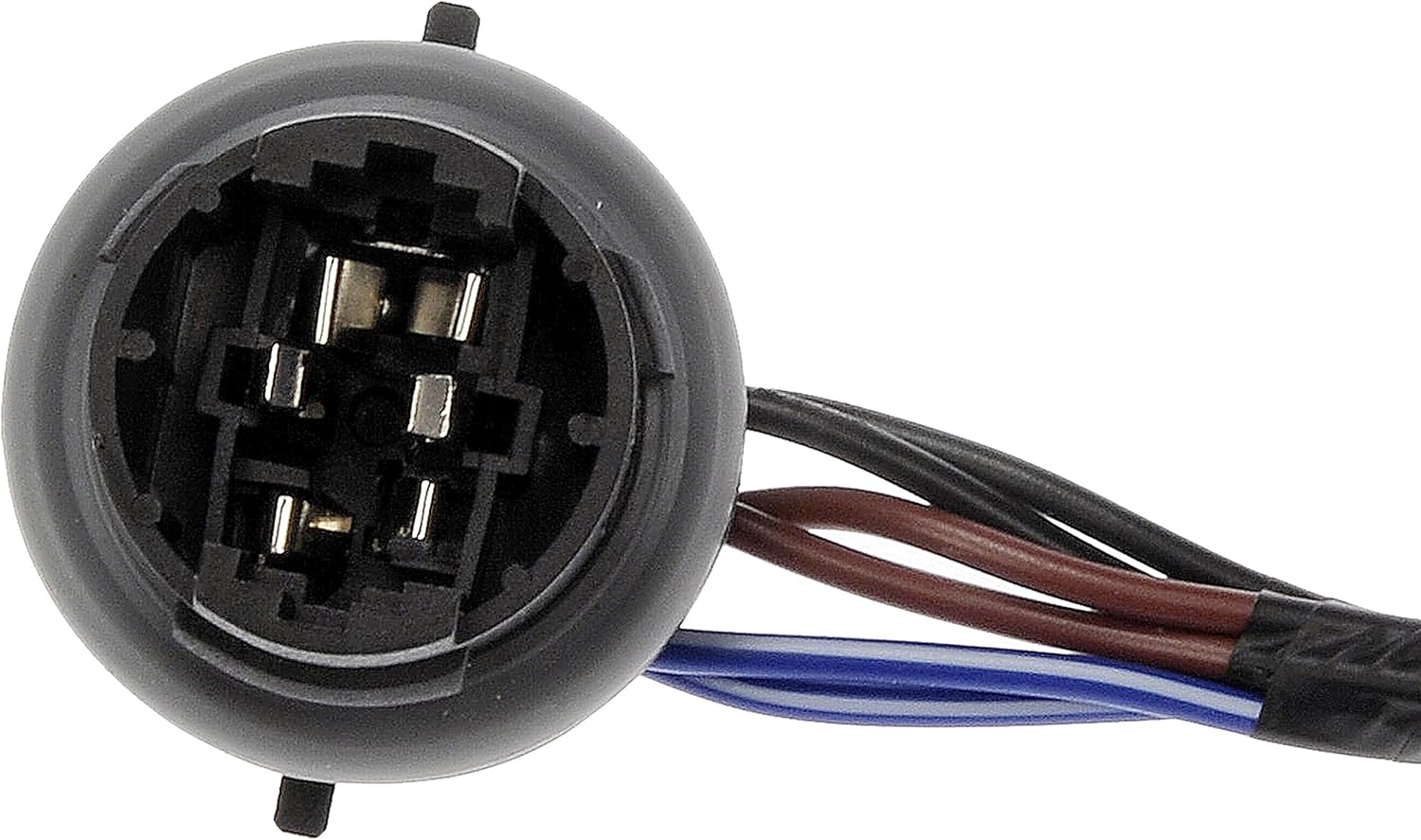 Dorman 645-745 Wiring Harness Assembly: Automotive
