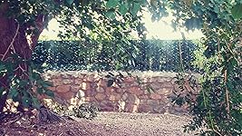 Review Image by NMSUAdmin