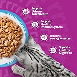 Whiskas Senior 11+ Wet Cat Food in Jelly 12x85g Fish Favourites Pack of 4 view 7