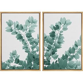 SIGNWIN Framed Wall Art Print Set Eaucalyptus Multiple...